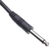 XLR Female to 1/4 Inch Mono Male Audio Cable, 10 Foot